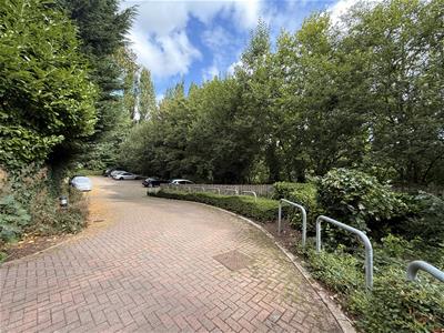 Picture 23